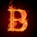 My Blog
